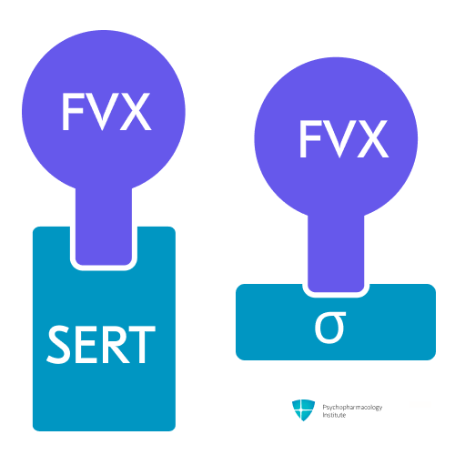 Sertraline bnf online